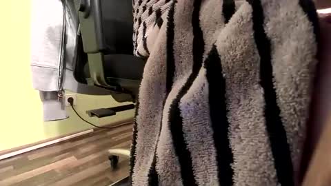 Snapshot of 0815____pet chatting on October 12, 8:32 pm Peter online show from October 12, 8:32 pm