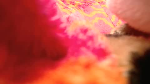 rockhead1953 online show from March 1, 2:43 pm