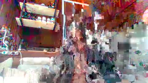 djulia online show from January 4, 11:22 am