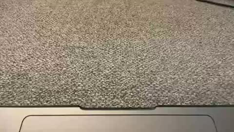 1arkansasguy online show from January 1, 2:52 pm