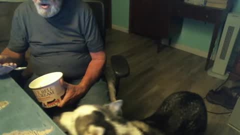 1handyanddee online show from February 7, 1:19 am