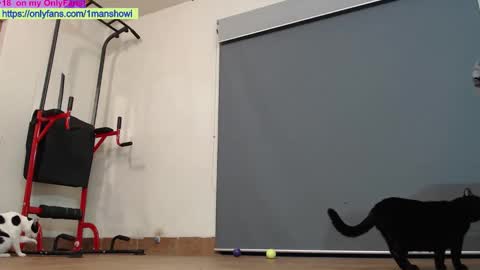 Snapshot of 1manshow11 chatting on October 29, 1:35 pm 1manshow11 online show from October 29, 1:35 pm