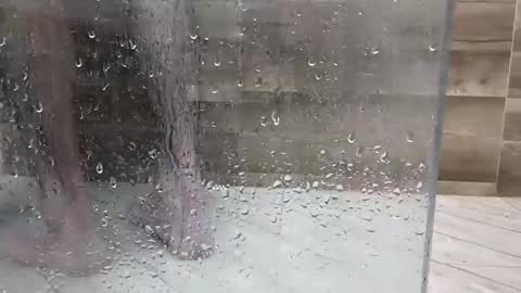 1ns1d3r online show from February 10, 8:01 pm