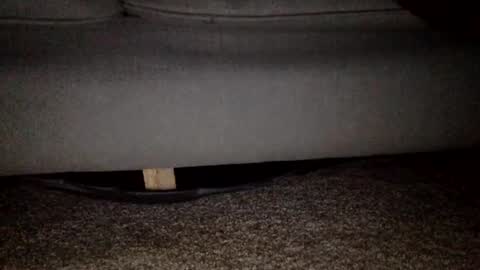 30nick online show from March 28, 5:53 am