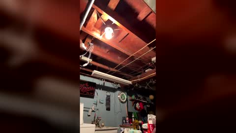 33adidas online show from March 17, 8:08 am