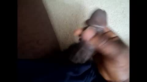 559lark online show from April 20, 3:20 am