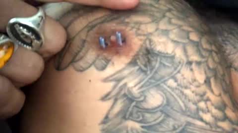 6990fiko online show from February 18, 2:06 pm