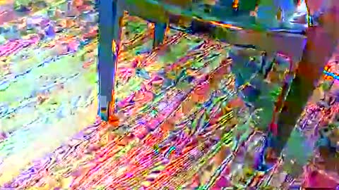 69forever453443 online show from November 24, 1:54 pm