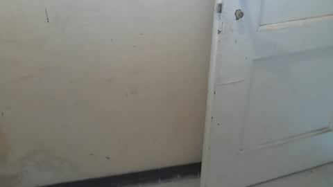 69pifpaf online show from February 28, 10:20 am