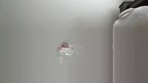 6boss498491 online show from January 11, 8:59 pm