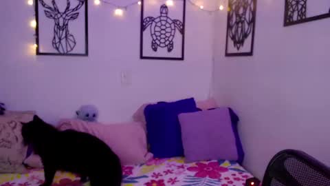 Snapshot of _marcela_wi chatting on January 18, 12:57 am Marce  online show from January 18, 12:57 am