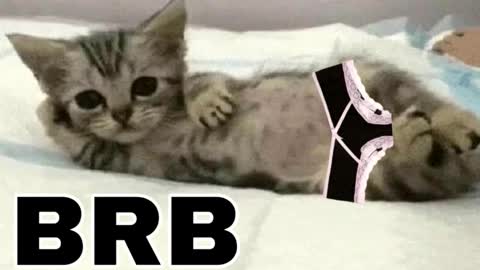 miko3 online show from November 30, 11:01 pm