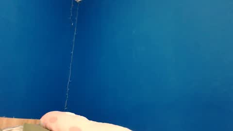 Boo online show from December 14, 2:45 pm