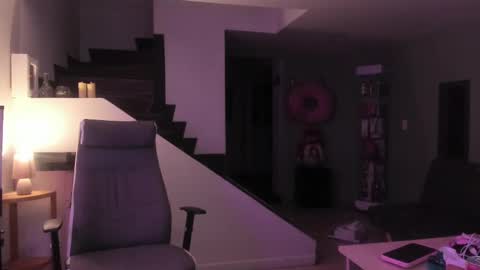 Snapshot of _mr_panda_ chatting on February 13, 3:29 am Panda online show from February 13, 3:29 am