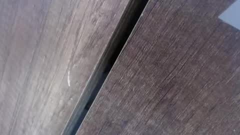 Aaron y Perla online show from October 12, 8:21 pm