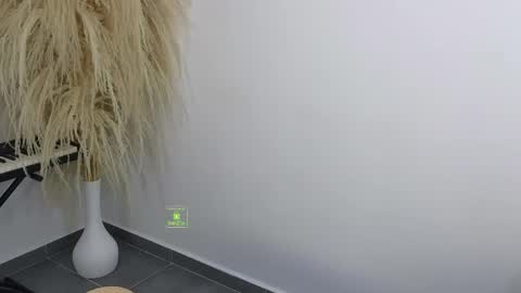 Send me DM  Offline online show from April 23, 5:14 pm