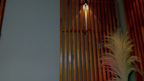 Abby Palmer online show from November 14, 5:31 am