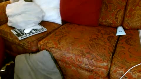 aCACiAs2022 online show from November 12, 11:12 am