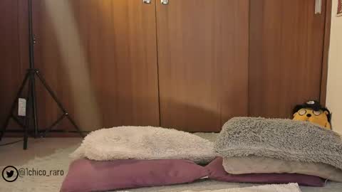 Jhonny online show from May 22, 9:54 pm