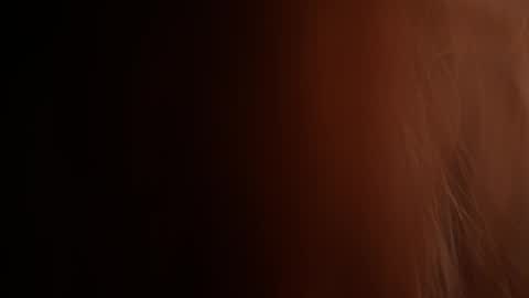 Adrit online show from April 15, 7:58 pm