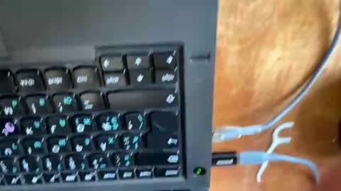 vegans taste better online show from October 8, 6:30 am