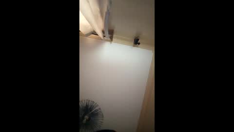 jackline online show from March 25, 8:21 am