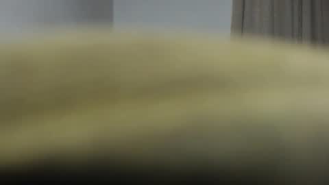      online show from October 26, 10:38 am