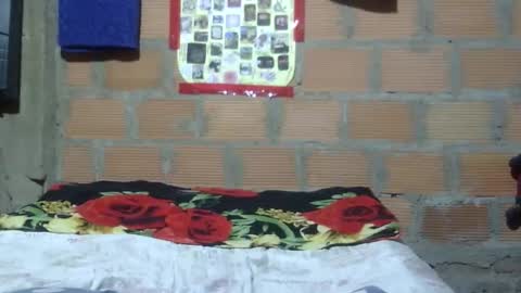 aiti online show from December 4, 8:03 am