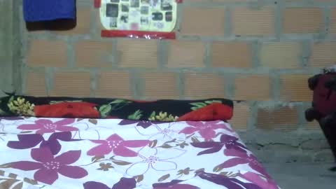 aiti online show from February 1, 8:06 pm