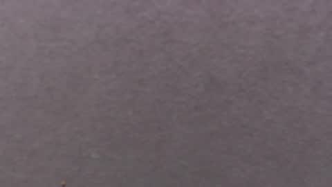Snapshot of alaia_blue1 chatting on September 20, 6:11 pm alaia_blue1 online show from September 20, 6:11 pm