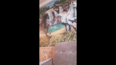 albina online show from February 11, 9:02 am