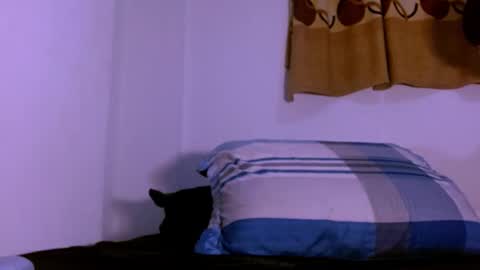 Alec online show from March 3, 6:13 pm