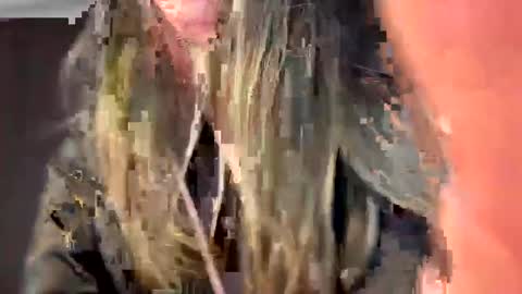 Snapshot of aledca chatting on December 23, 8:03 pm Andrea online show from December 23, 8:03 pm