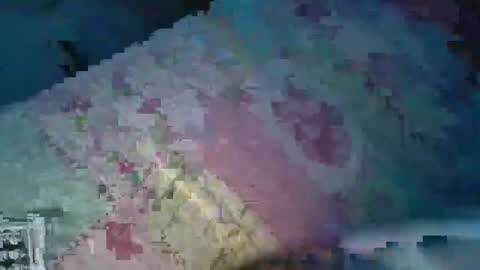 Snapshot of alejo_gray1 chatting on October 19, 11:09 pm alejo_gray1 online show from October 19, 11:09 pm