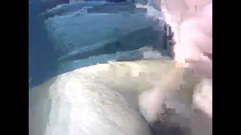 aleksandarcoabatica online show from April 29, 4:45 pm