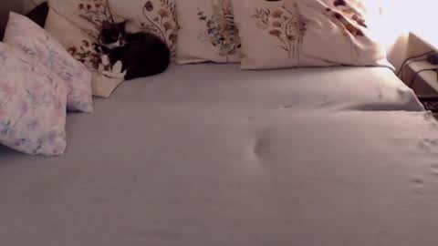 Sandra online show from February 18, 4:47 pm