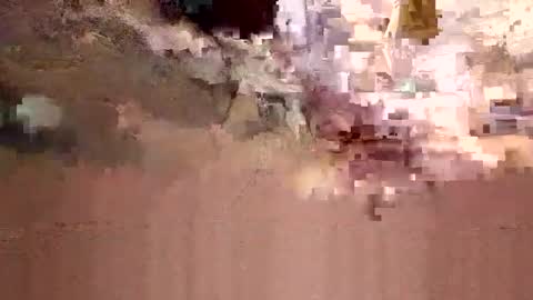 alexey932 online show from November 11, 10:17 am