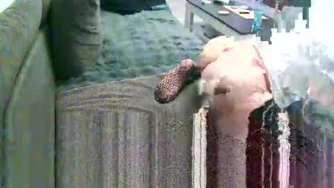 Doggystyle online show from January 9, 7:08 pm