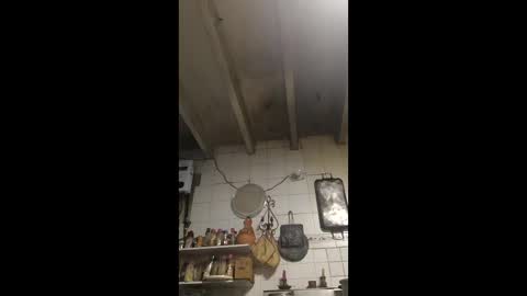 Alfa online show from February 23, 12:40 pm