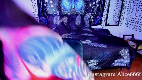 Snapshot of alice666f chatting on October 17, 6:56 pm ALiCE ROSE online show from October 17, 6:56 pm