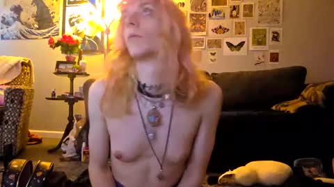 Snapshot of alice_hatchette chatting on September 25, 7:43 pm Alice Hatchette online show from September 25, 7:43 pm