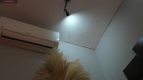 ALICE  online show from November 25, 2:54 am