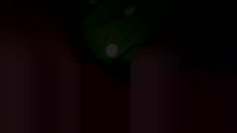 Snapshot of aliroxy28 chatting on January 13, 10:25 am Ali Roxy online show from January 13, 10:25 am
