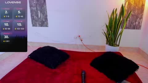 Allison sc online show from April 20, 8:12 pm