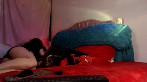 Ally online show from November 11, 11:29 pm