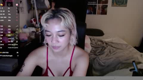 leash online show from December 26, 12:25 am