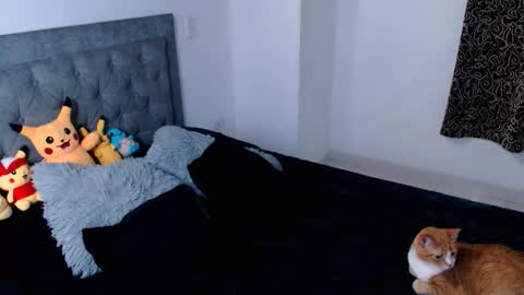 diana online show from April 16, 12:00 am