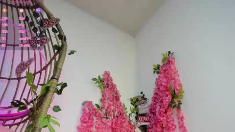 Snapshot of amy_skinny2024 chatting on March 6, 11:14 am AMY online show from March 6, 11:14 am