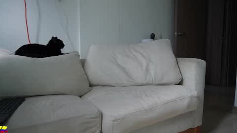 my onlyfans     online show from March 28, 7:37 pm