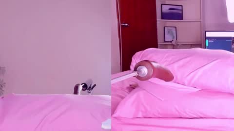 Angeli  online show from February 18, 3:21 am